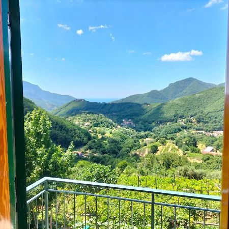 La Casa In Vigna Villa Tramonti Exterior foto