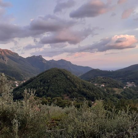 La Casa In Vigna Villa Tramonti Cameră foto